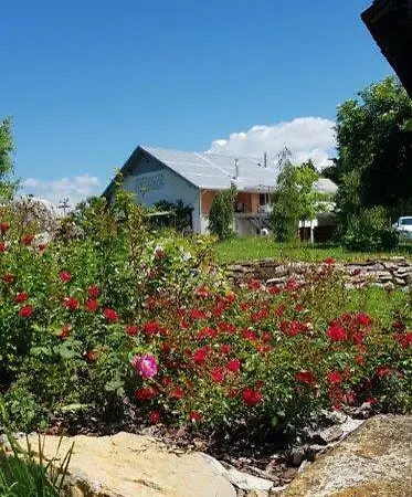 Hillside Bio Resort Delux Apartments Sesce Pri Preboldu Exterior photo