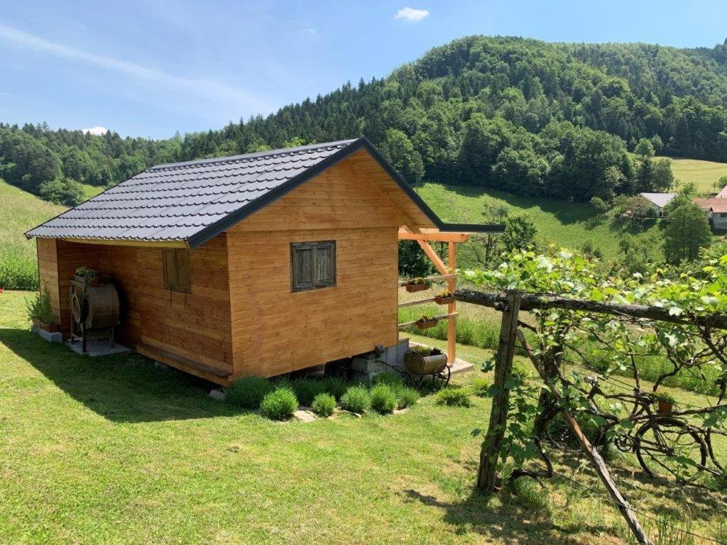 Apartamento Hillside Bio *