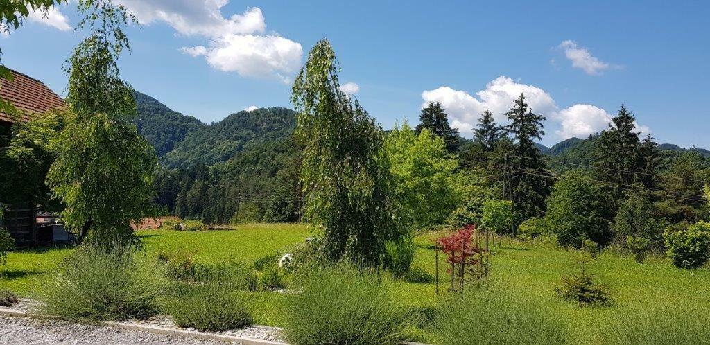 Hillside Bio Delux