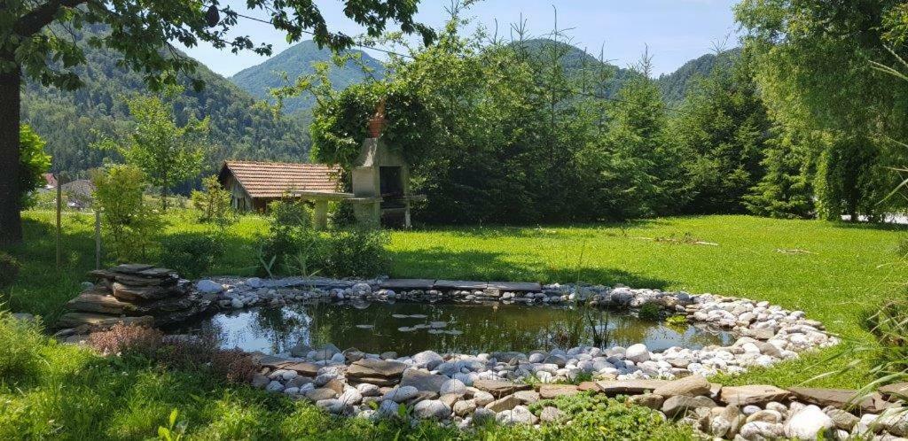 Appartement Hillside Bio Delux